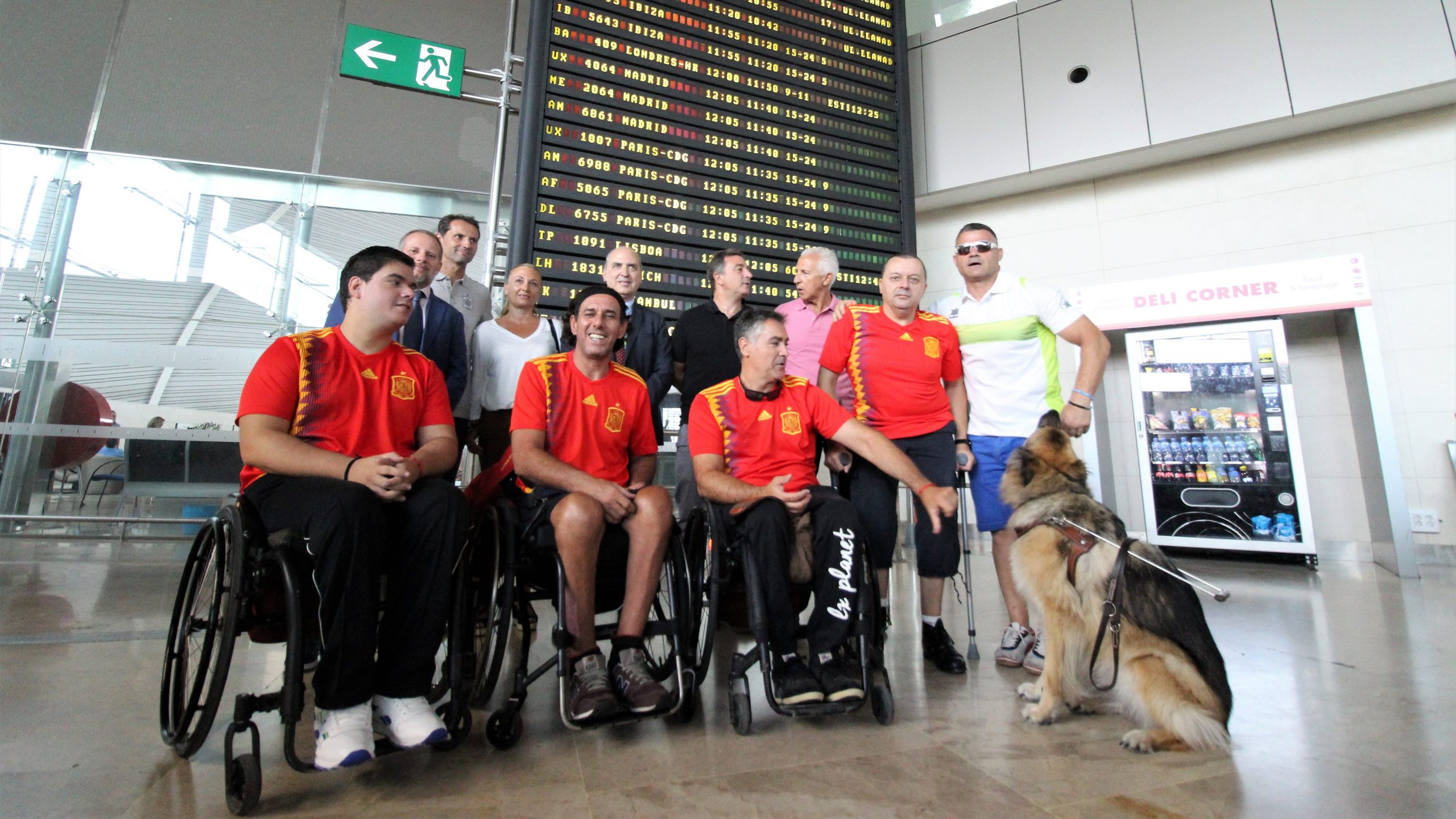 El A-Ball (fútbol en silla de ruedas) busca el reconocimiento mundial